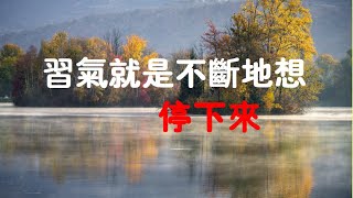 201902 习气就是不断地想 停下来25597