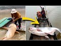 Grabe! Sobrang Laki Ng Mga Isda Na Nahuli Sa Ilog | 8 Biggest Fish Caught In Fresh Water