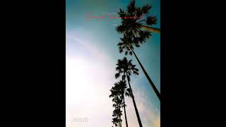 yuszal - Interlude #2
