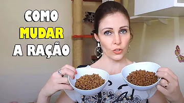 Pode ficar trocando a ração do gato?