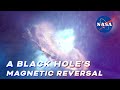 A Black Hole&#39;s Magnetic Reversal