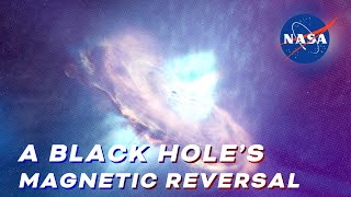 A Black Hole's Magnetic Reversal