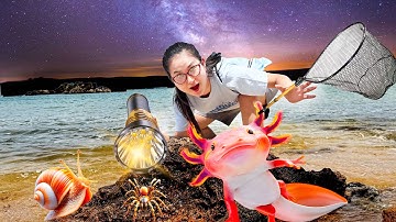 Changcady ra đồng ngày mưa, tìm được khủng long 6 sừng và rất nhiều nòng nọc