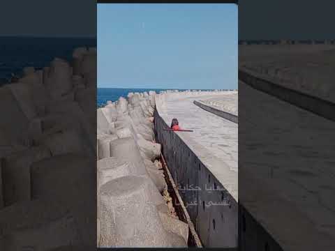 لما الطرب يبقى بصوت أمير عيد احساس مختلف طرب امير عيد كايروكي