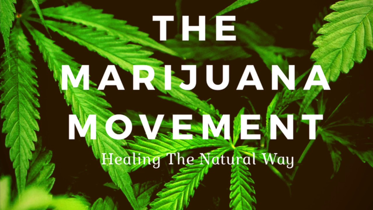 The Marijuana Movement