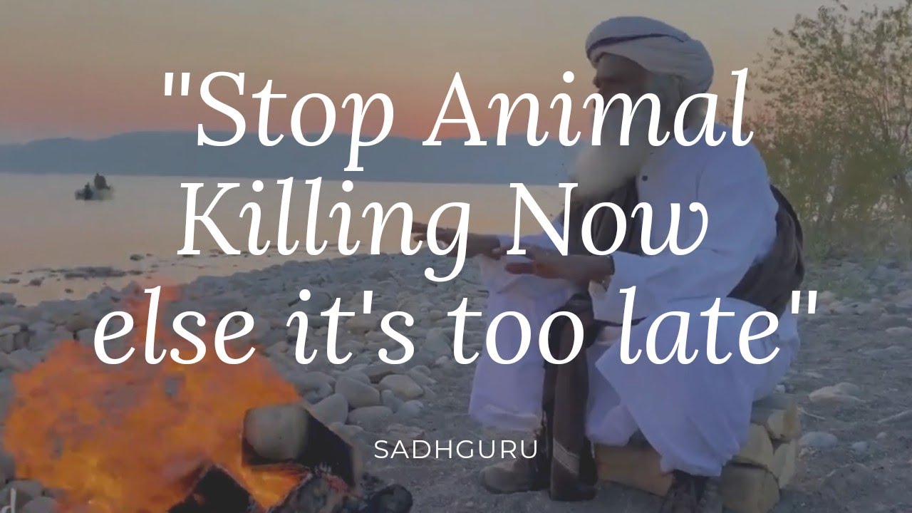 STOP Killing Animals NOW else It's Too LATE by Sadhguru - YouTube
