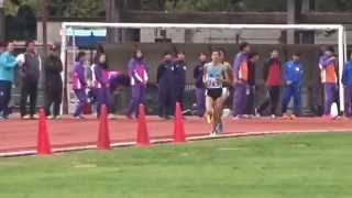 2015年度第7回京都陸協記録会 男子5000m8組
