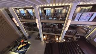 Viking Saturn (2023) - Atrium (Deck 3)