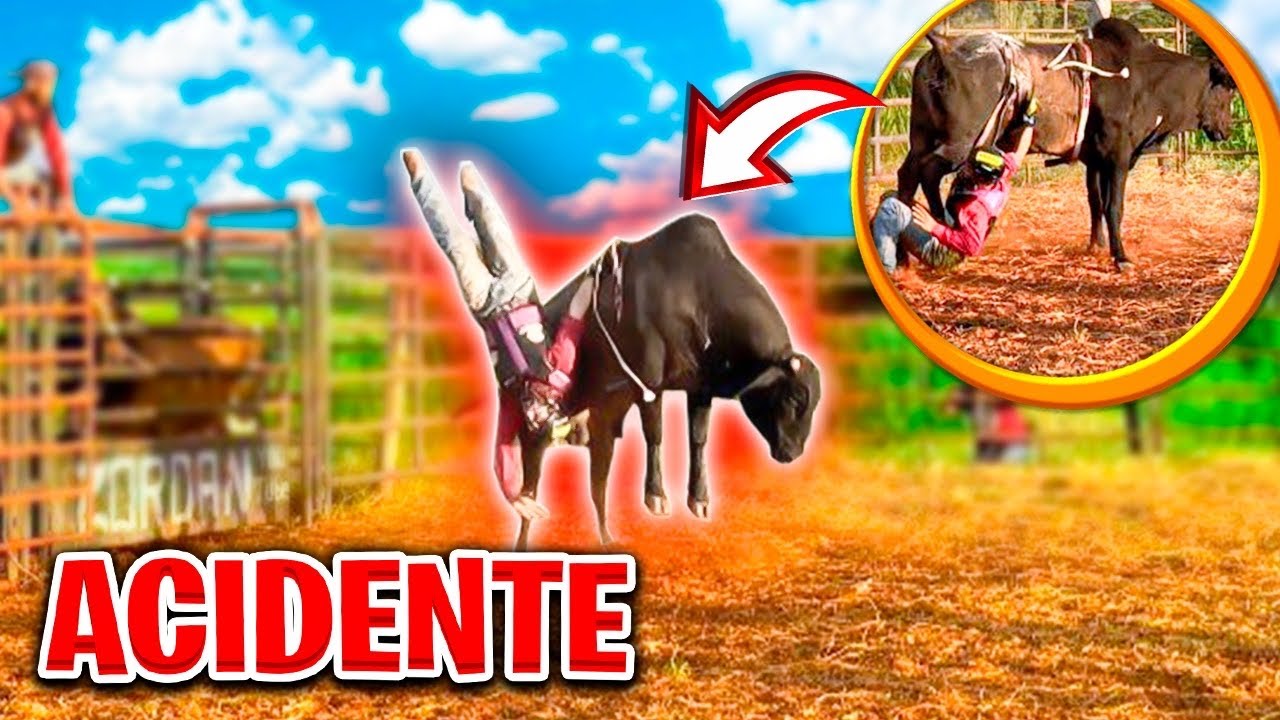 CIA ZORDAN, BOI PEGA PIÃO