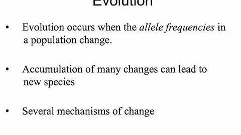 Evolution- mutations