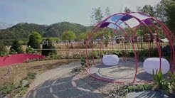 Play Lafent - YouTube Play Lafent - Youtube