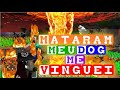 MATARAM MEU CACHORRO no MINECRAFT 😂