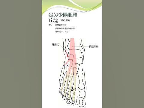 足の少陽胆経 丘墟 short YouTube