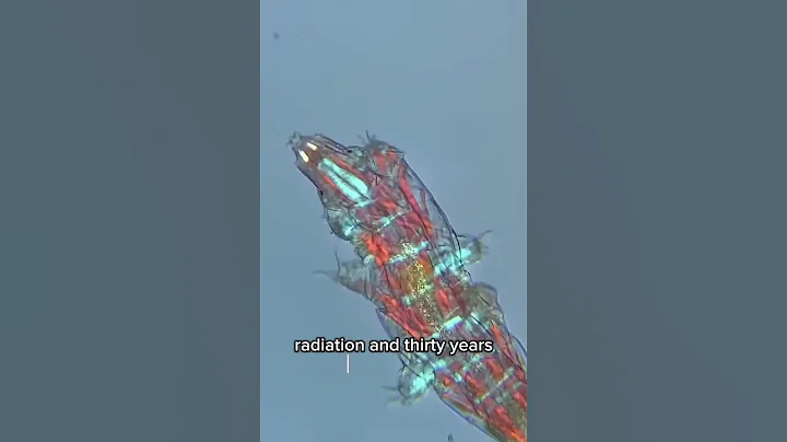 The Toughest Animal on Earth : TARDİGRAD 😮