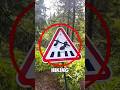 never ever ignore this creepy sign while hiking!😱 #shorts #viral #viralvideo