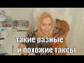 Вся правда о таксах. Плюсы и минусы разных такс.Чем отличаются?