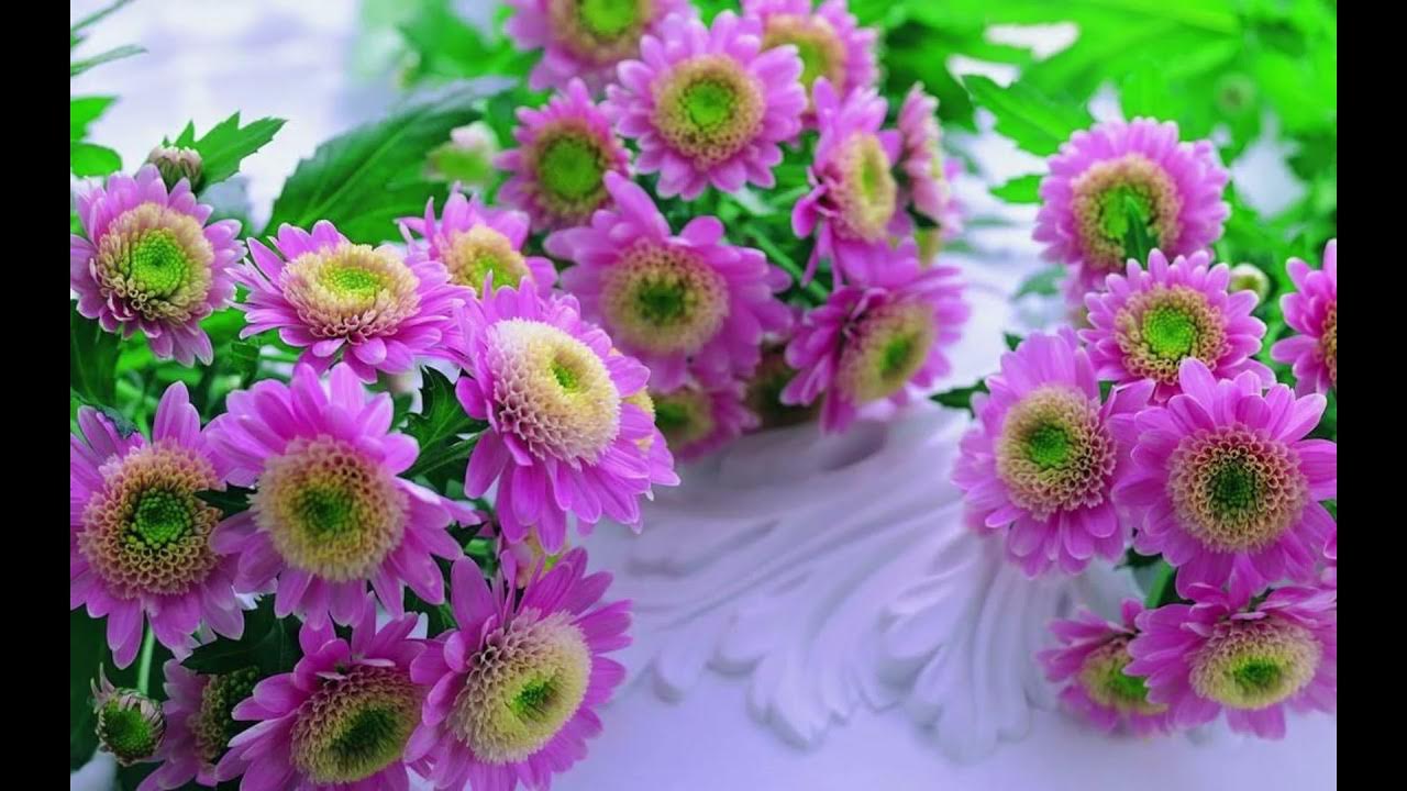 poosu manjal pookuthu poovondru kanave kalaiyathe murali simran poosu manjal pookuthu poovondru kanave kalaiyathe murali simran