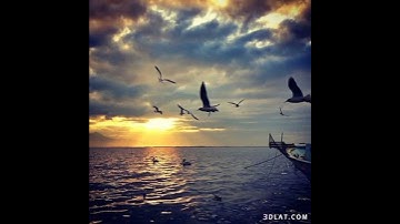 سوره البقره اللهم اجعل القرآن الكريم ربيع قلوبنا ونور صدورنا وجلاء أحزاننا