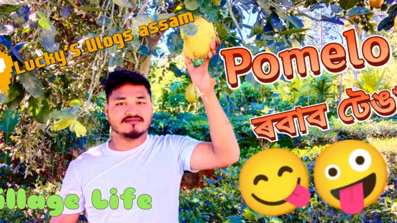 Local Fruits Pomelo ৰবাব টেঙা Village Life sweet Summer Furits