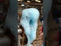 Ten years ago rust removal #youtubeshorts #shortvideo #shorts