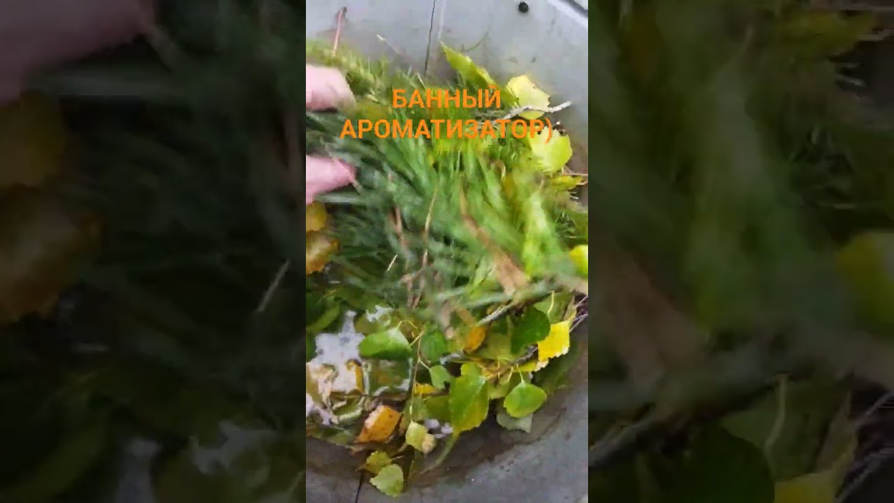 Ароматизатор в баню