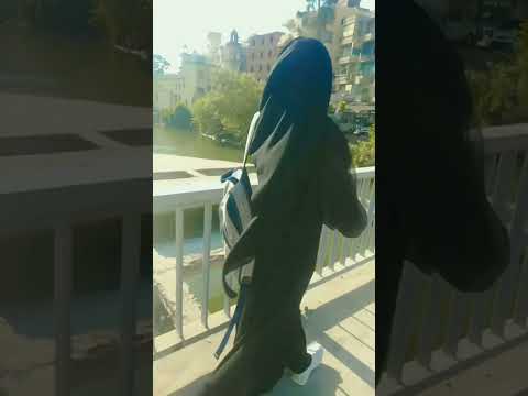 يا ساكنا فى بالى