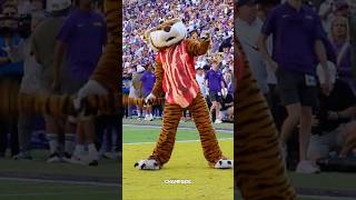 Mike The Tiger beat down Arkansas Razorbacks 😂 Suck That Tiger **** ****!