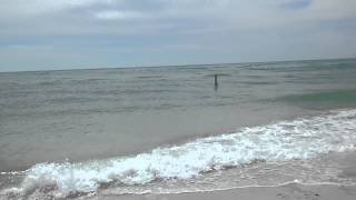 What's the Weather like in March / April Insider Tips Anna Maria Island