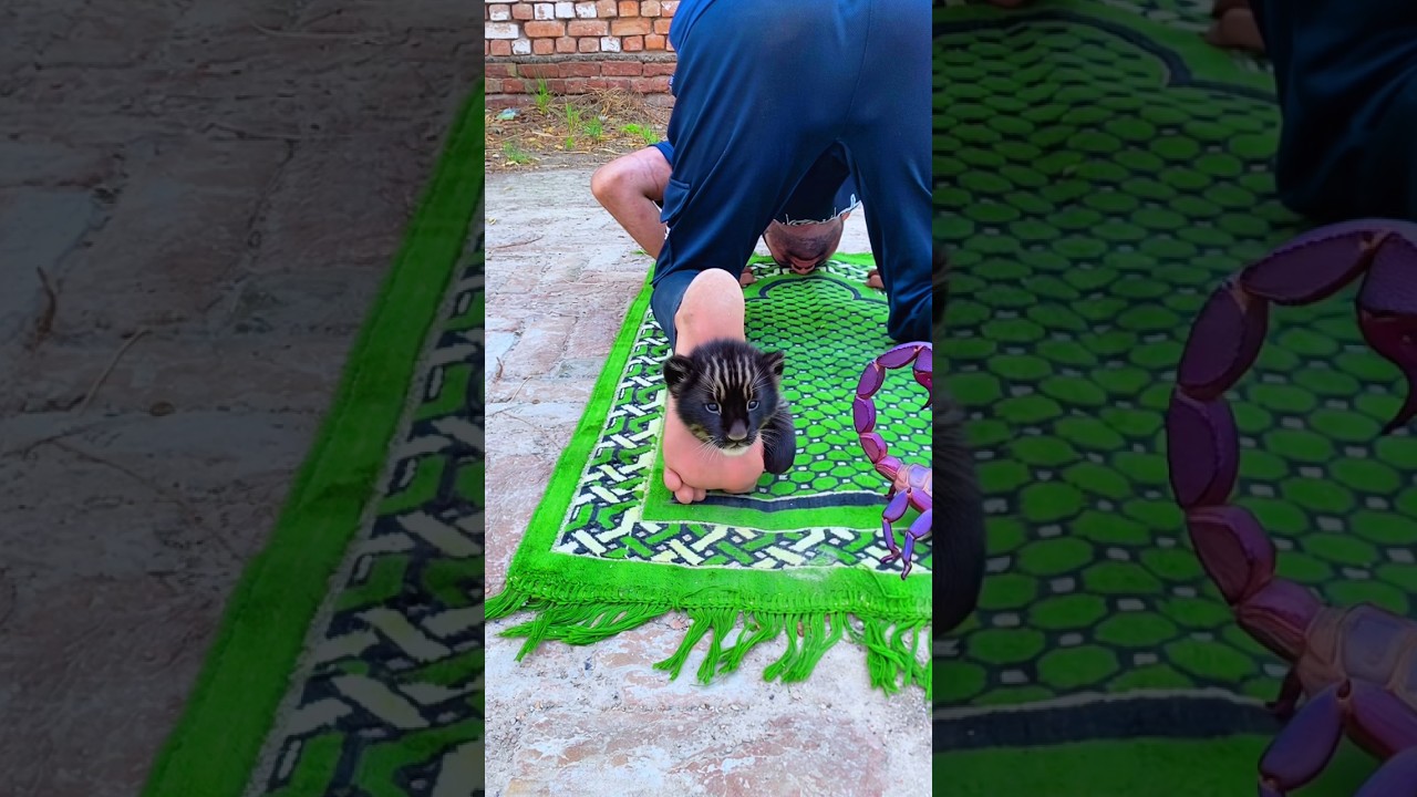 Allah dekh Raha hai #viral #prayer #emotional #shorts#trending