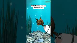 Download Lagu POV: Normal Fish Vs Japanese Fish MP3