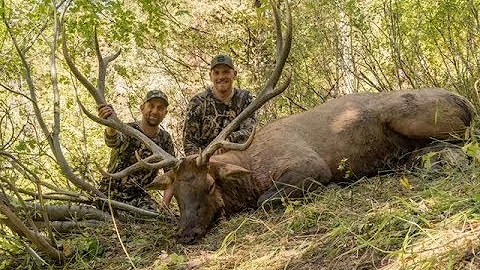 SEPTEMBER | ELK HUNTING IN IDAHO WITH JASON PHELPS & MTN OPS