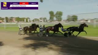 Vidéo de la course PMU NICO HOFMAN MEMORIAL