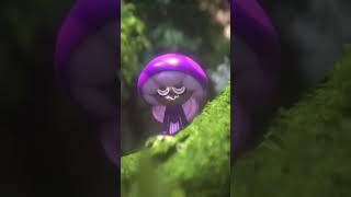 🍄The spores are happy this year! 🎉