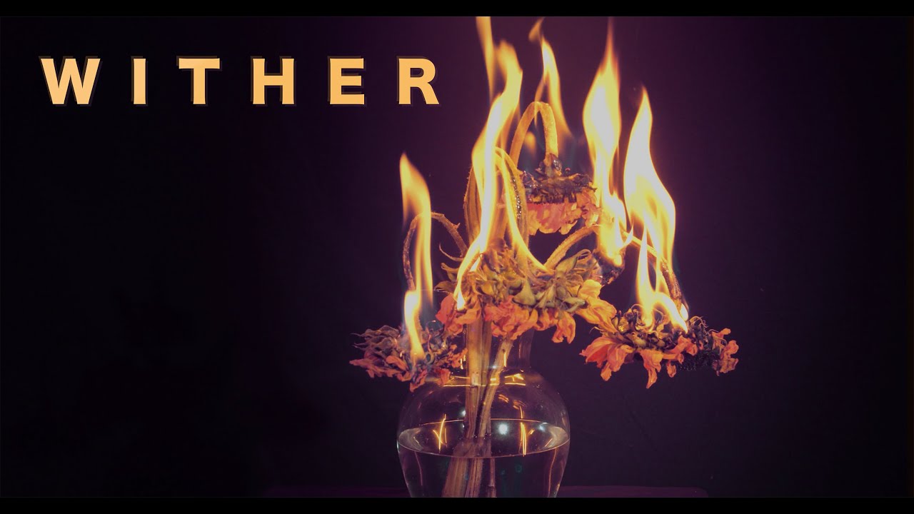 Watch NORMUNDY - Wither (Official Music Video) on YouTube Watch NORMUNDY - Wither (Official Music Video) on YouTube