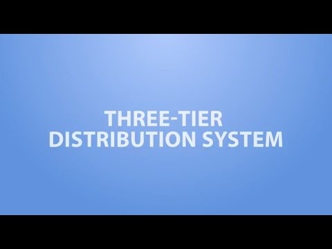 Video: Kas ir trīs līmeņu sistēma?