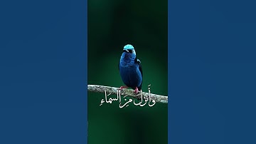 الشيخ عبدالباسط عبدالصمد سورة ابراهيم