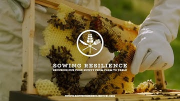 Sowing Resilience Trailer