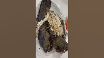 Thưởng thức cá lóc đồng Miền Tây nướng #amthuc #shorts