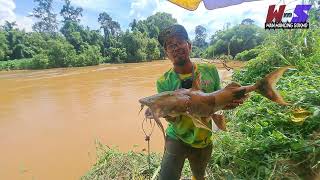 Mancing ikan besar | sungai jelai kuala lipis #wms316
