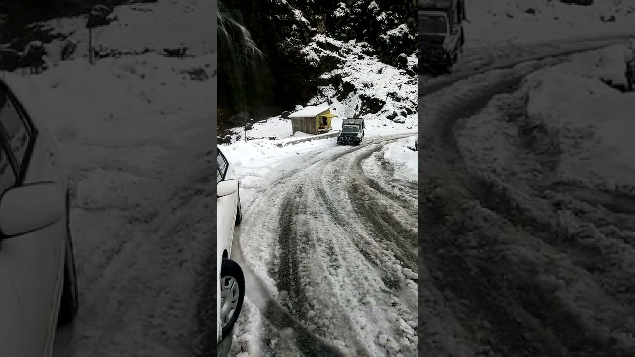 Shangla Top Best of January