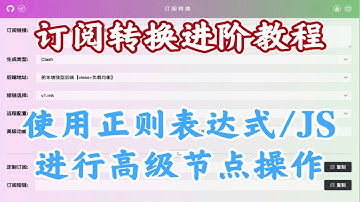 【进阶教程】使用正则表达式/JS对节点进行高级预处理操作