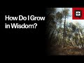 How do i grow in wisdom