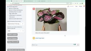 Personal LLM chat screenshot 5