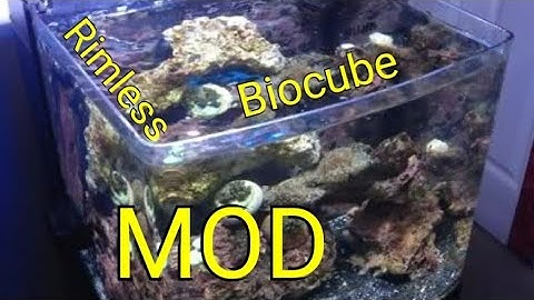 Biocube rimless modification