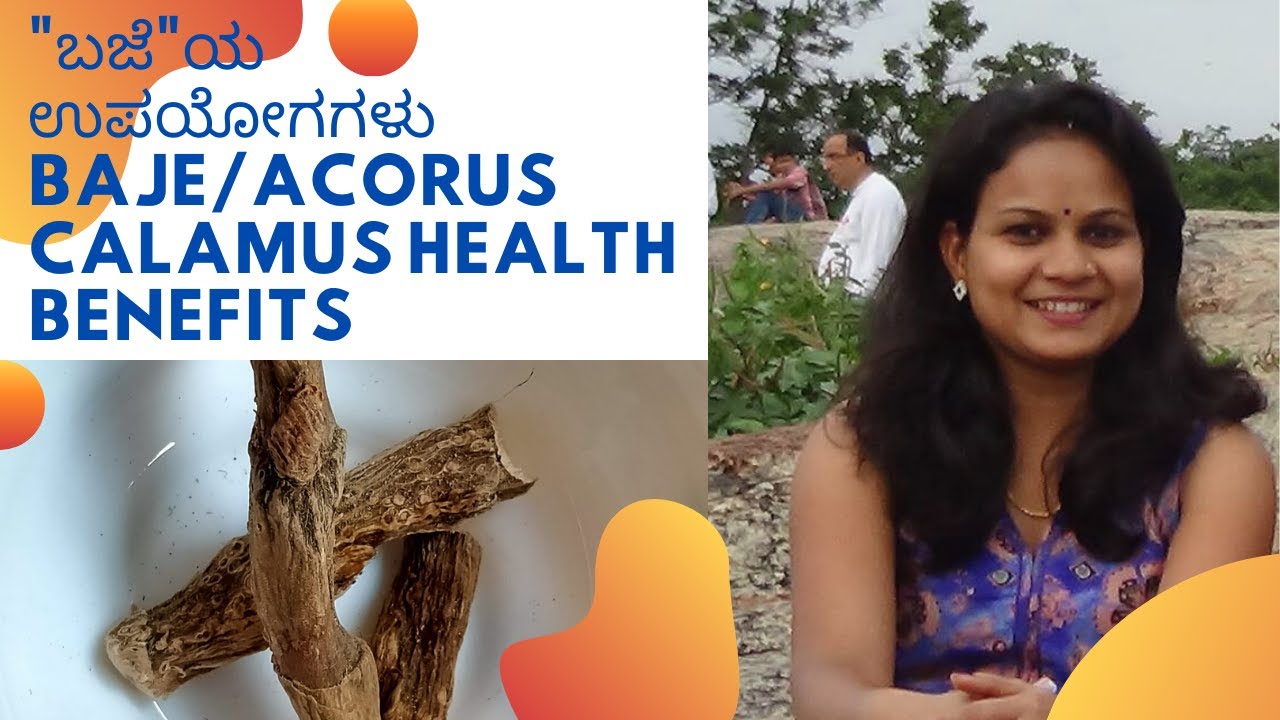 "ಬಜೆ"ಯ ಉಪಯೋಗಗಳು Baje/Acorus Calamus Health Benefits YouTube
