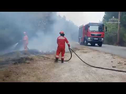 Video: Cili qytet i paguan më shumë zjarrfikësit?