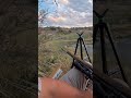 #parati #argentina #cacería #video #cazadores #hunting #visionnocturne #jabalí #fyp #viral #lapampa
