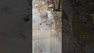 IMG 6646