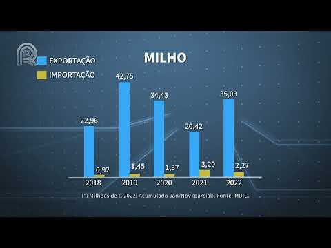 Agroexport | Exportação de milho tem potencial para superar as 40 milhões de toneladas | Canal Rural