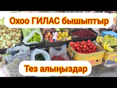 Video: Тамак-ашка болгон чыдамсыздык же азык-түлүк аллергиясы - Nutrition Nuggets Cat